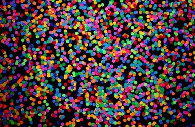 xì tố di động 8Day